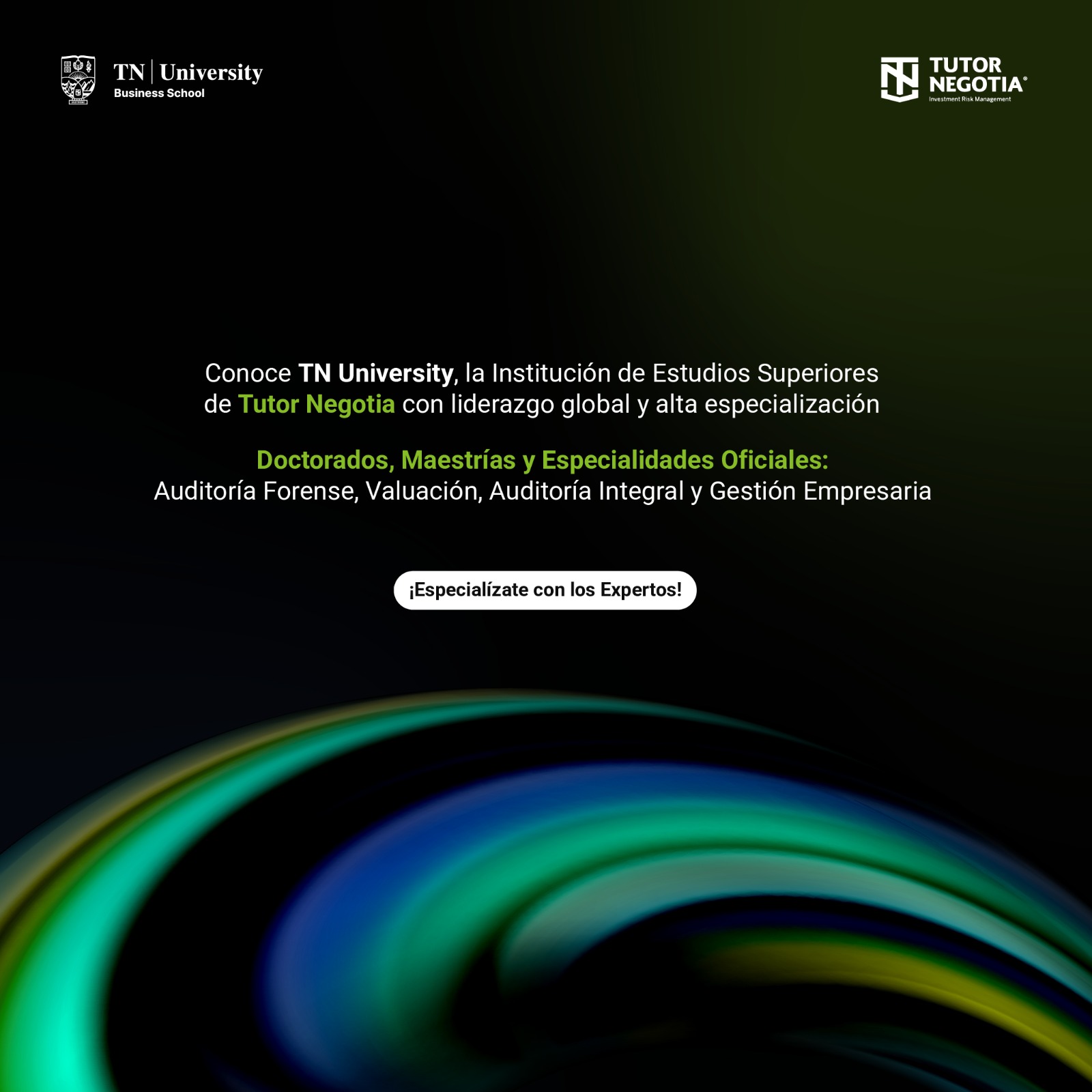 Banner Móvil TN University